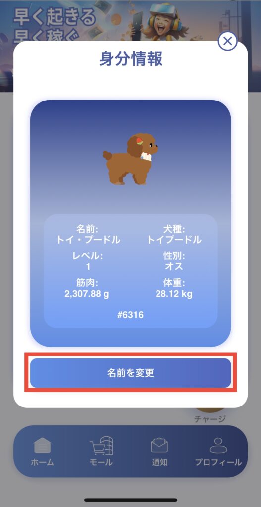 名前変更ボタン場所説明