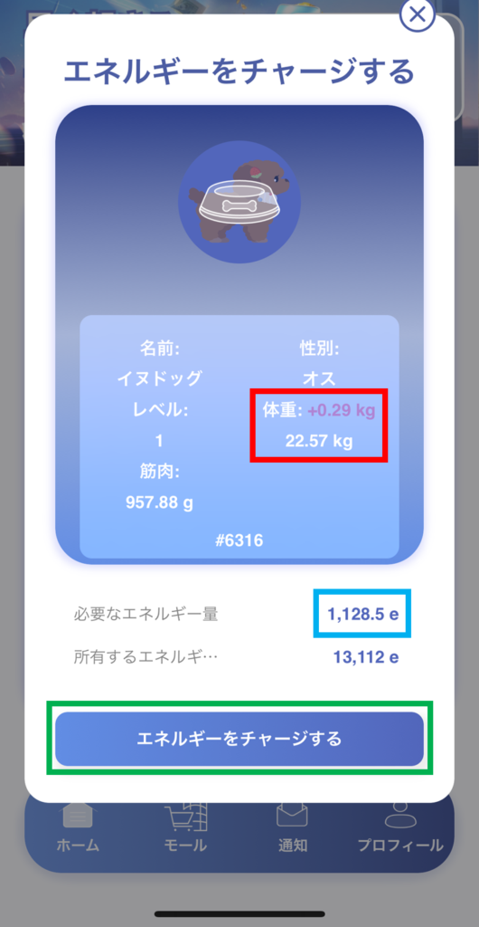 エネルギーチャージ前の確認画面