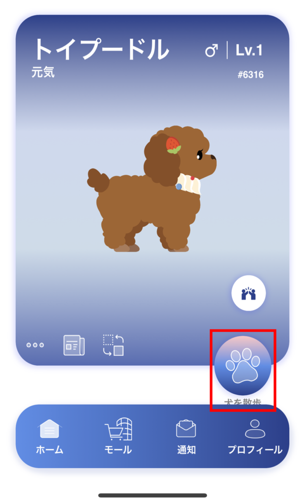 ワンちゃんの散歩説明画面
