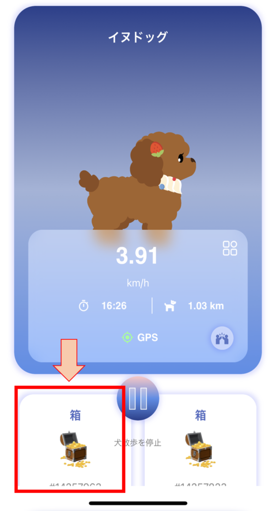 散歩報酬の箱が稀にドロップする事の説明