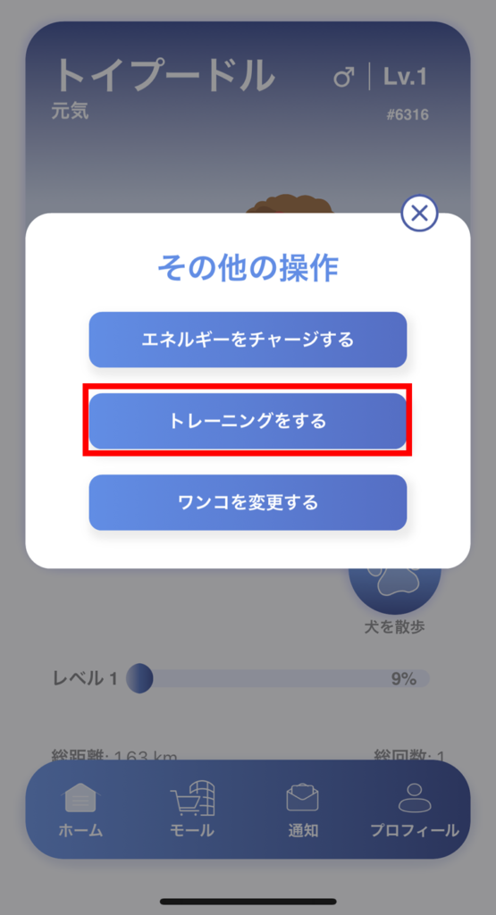 トレーニング方法解説