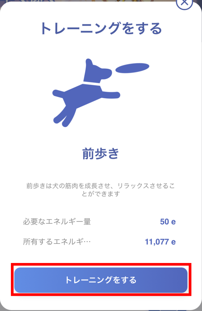 トレーニング実施画面