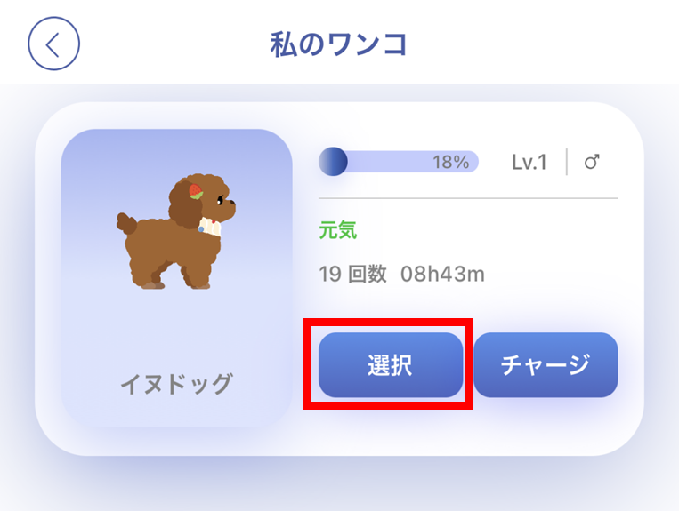 購入したワンちゃんの選択