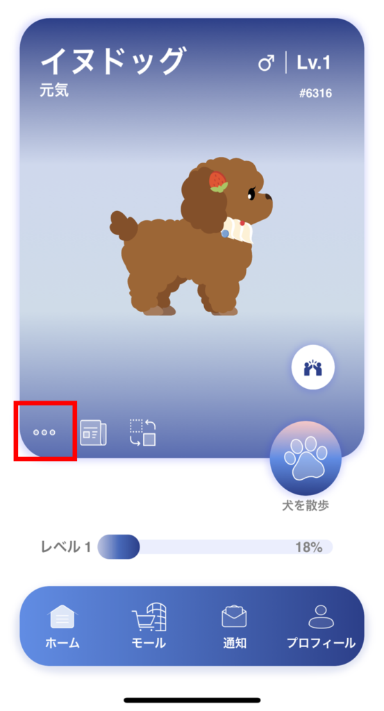 ワンちゃんへのエネルギーチャージ方法説明