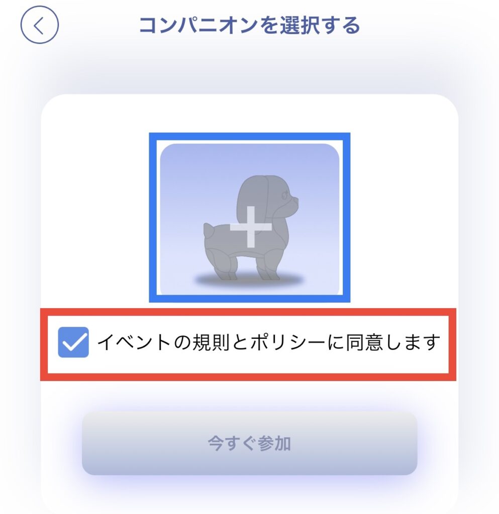 コンパニオン選択とイベントと規制のポリシーへの同意画面